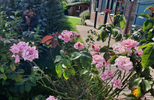 Ferienhaus Sasse Ferienwohnungen mit Garten & Grill - Foto 41