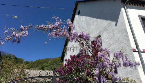 Alter Winzerhof - Foto 3