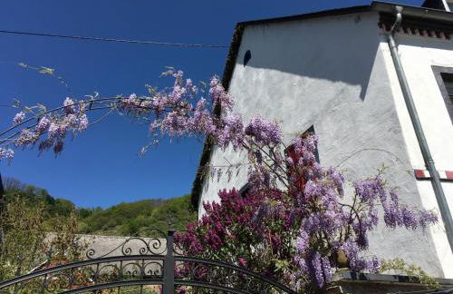 Alter Winzerhof - Foto 3