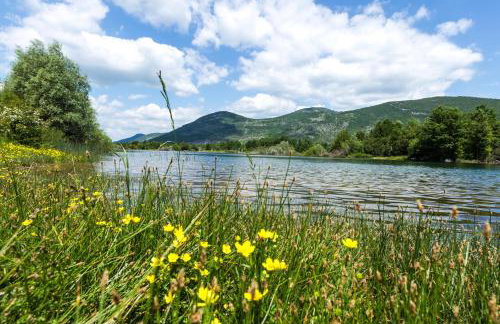 Forest Escape - Foto 47