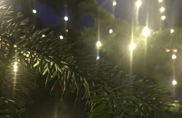 COZY & QUIET CITY APARTMENT - Foto 40