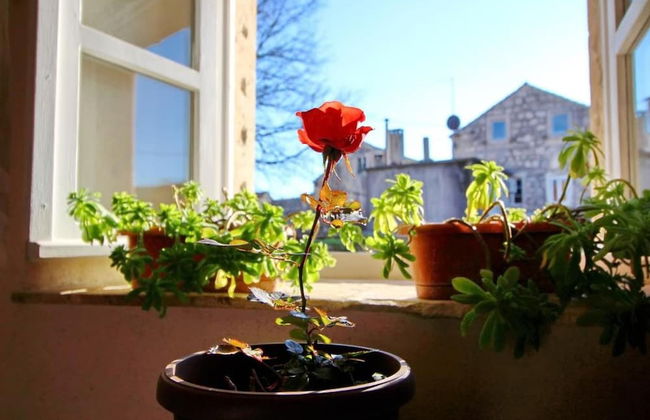 Apartments Harmony - Photo 28