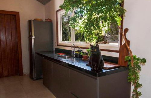 Canto dos pássaros - Foto 15