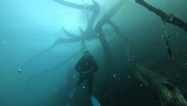 Admirando las profundidades lacustres