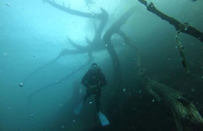 Diving in Correntoso Lake - Foto 3