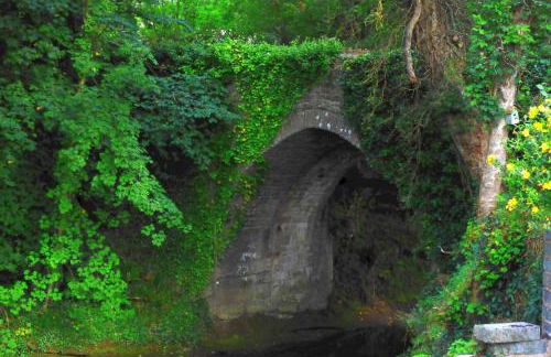 The Old Mill Cottage - Foto 53