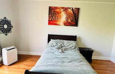 Charming, Spacious Apartment Downtown Albany - Foto 7