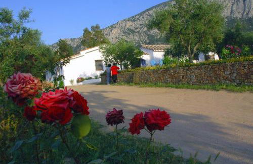 Agriturismo Guthiddai - Foto 78