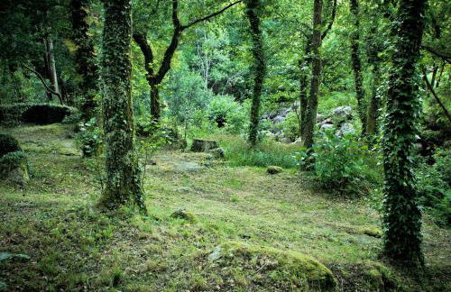 Entre Os Ríos - Casa Rural y Enoturismo - Foto 39