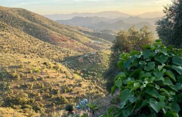 La Tahona (Cortijo Andaluz en las montañas) - Foto 38