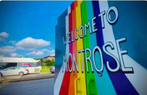 Pristine Full Sized Montrose Apartment Half Block to Menil Museum - Foto 3