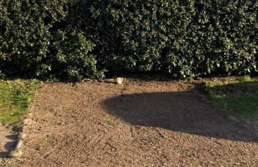 So Cosy Beach - Foto 24