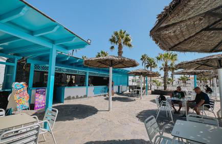 Playa y Palmera - Photo 9