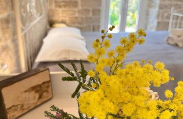 Nafsika's Cottage - Magazia Paxos - Photo 12