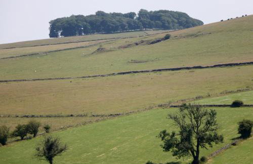 Slade Cottage - Foto 15
