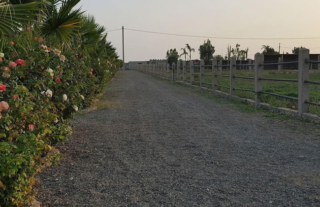 Koheilan Oriental Lodge Farm - Photo 24