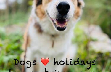 The Hollies, Dorset - Foto 8