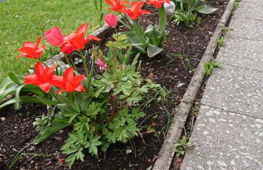 Haus-Brecherspitzblick - Foto 19