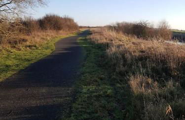 Amazingly quiet and peaceful studio getaway. - Foto 19