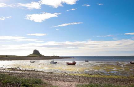 Cambridge House - Cottage Number One - Foto 15