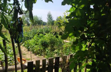 Domki Białogarda - Foto 67