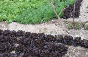 Agriturismo Gli Antichi Sapori - con stazione di ricarica veicoli elettrici - Foto 50