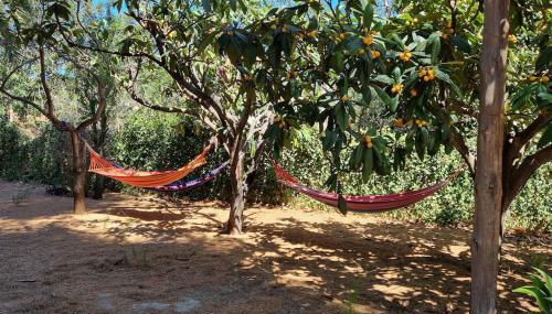 La Casita, Three bedroom home - Photo 5, Garden