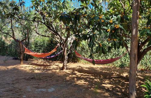 La Casita, Three bedroom home - Photo 5