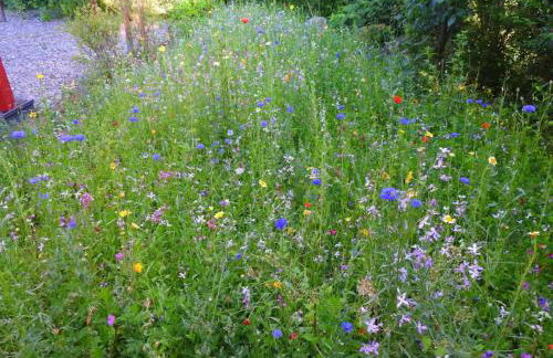 Haus Hanni Zarrentin am Schaalsee - Foto 28