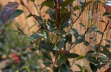 Lakefront Apartment with Panoramic Pool - Foto 28