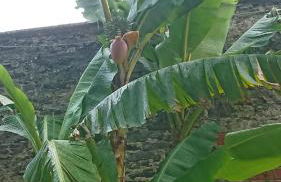 La Salicorne hébergement insolite - Foto 18