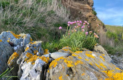 Sea Spirit - Sweeping Sea Views first floor spacious modern apartment in Looe- with FREE parking! - Foto 3