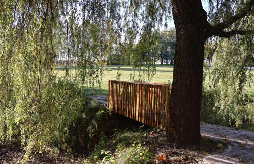 Rezydencja Pod Platanem - Photo 68