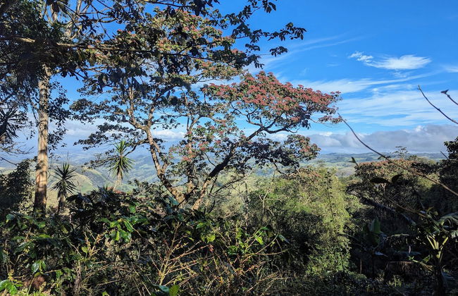 Campos de Oro Wilderness Lodge - Foto 17