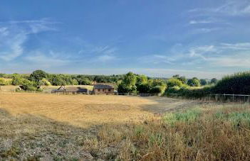 Arniss New Forest - Photo 55