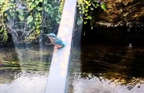 Escape the Ordinary - Photo 64