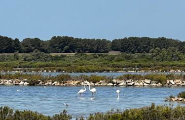 Sa Calma Marina A Tranquil Mediterranean Retreat - Photo 20