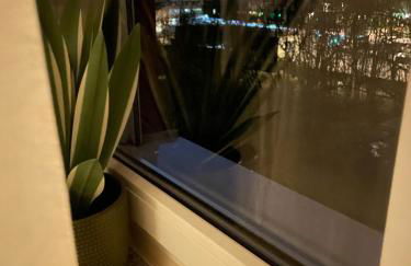 Urlaub,Business,Weltkulturerbe - Foto 14