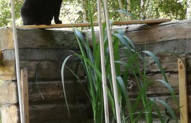 Strefa Ciszy -Lawenda - Foto 24