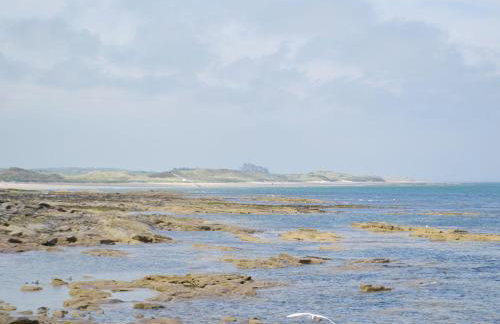 The Nest - Uk32352 - Foto 19