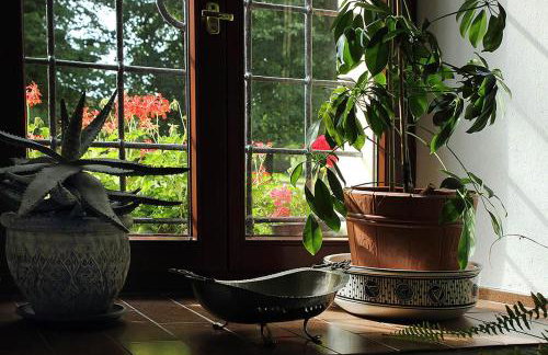 Pałac Kietlin - Foto 34