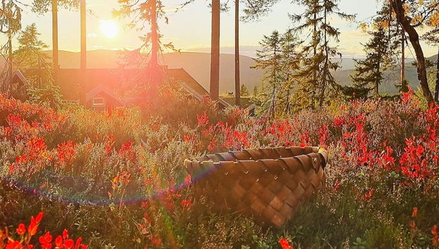 12 Person Holiday Home in Salen - Photo 2