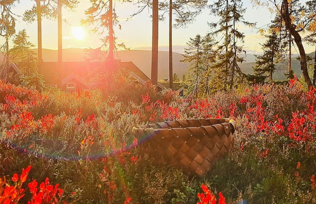 12 Person Holiday Home in Salen - Foto 2