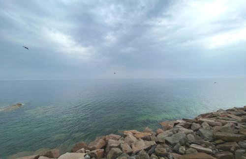 No. 20 The Headland - Foto 20