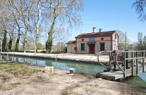 Les coccinelles - Foto 1