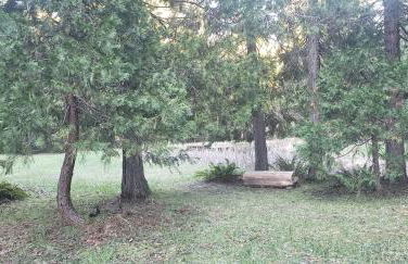 Blissful Solitude Cottage - Foto 56