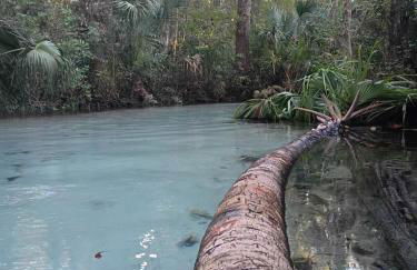 3 Bed 2 Bath Inverness home - Close to all the springs & rivers - Pet friendly - Foto 23