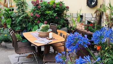 Oase der Ruhe - Foto 5