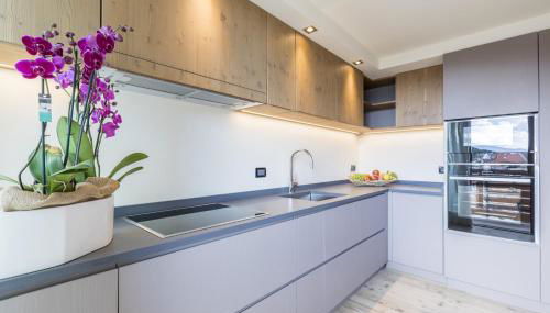 Folgaria Top Rent - Foto 3, dishwasher, pet friendly, minibar