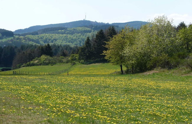 A-frame House in Dreislar Near Ski Slopes - Foto 30